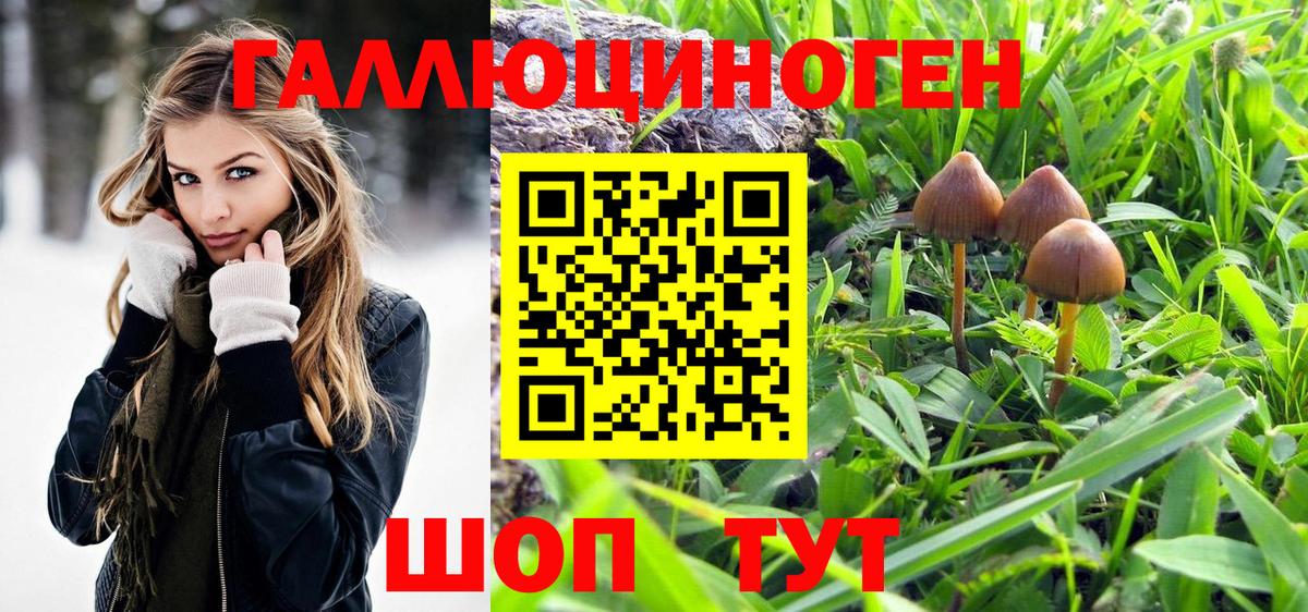 Псилоцибиновые грибы мухоморы Тимашёвск