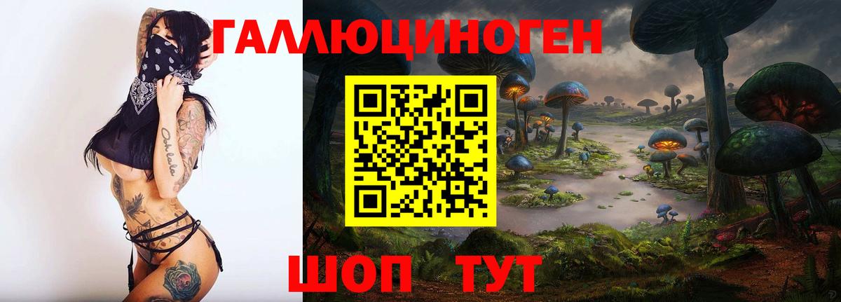 Псилоцибиновые грибы Magic Shrooms  Псилоцибиновые грибы Psilocybe  Вход с VPN  Тимашёвск 