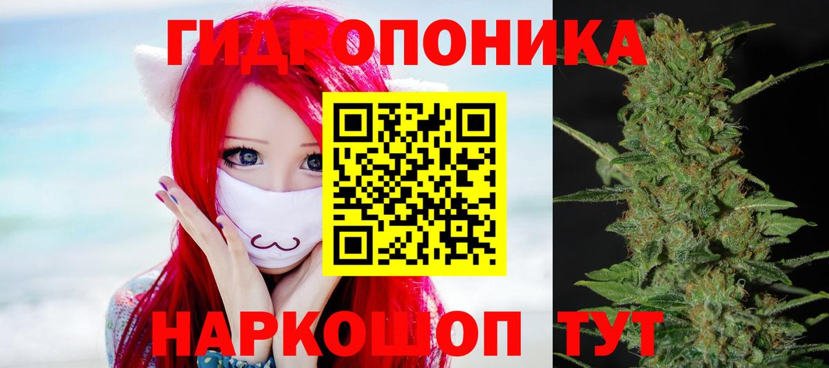Тимашёвск  Шишки марихуана семена  Вход с VPN  Марихуана White Widow  Шишки марихуана семена  Бошки марихуана семена 